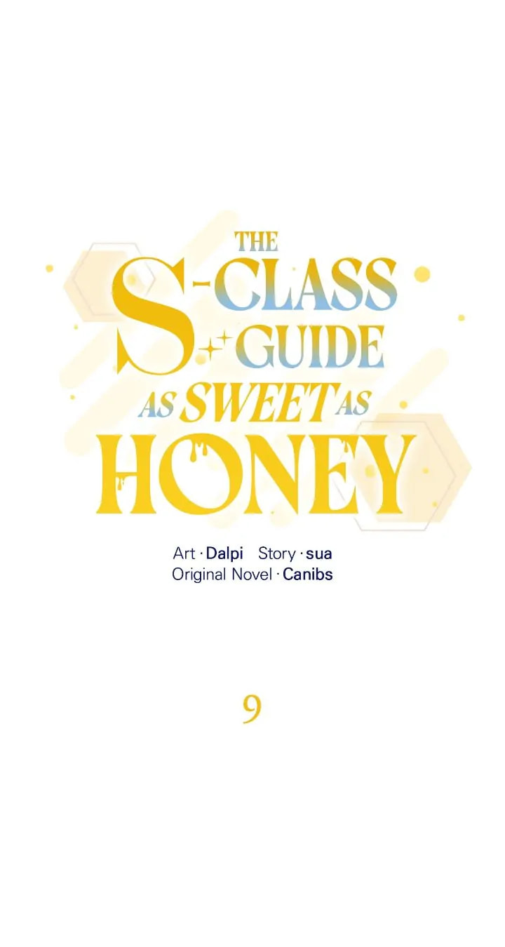Honey Coated S Class Guide – Chapter 9 page 0