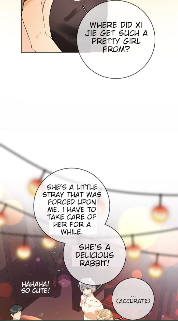 Gray Wolf and Rabbit page 25